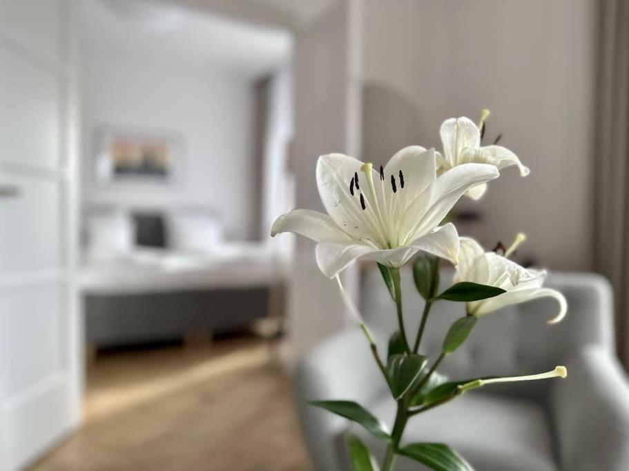 Premium Apartment By Hi - Central 2 Bedroom - Best View Budapest Eksteriør bilde